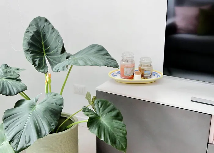 Welcome In Vatican Vista With Balcony Daire