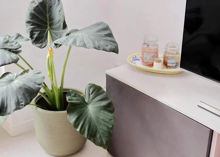 Welcome In Vatican Vista With Balcony * Roma